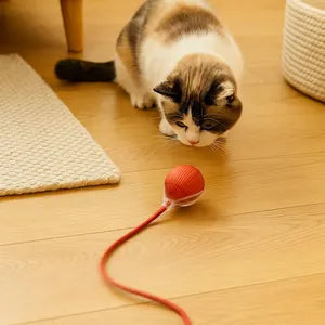 Bola Interactiva Automática 360° para Mascotas